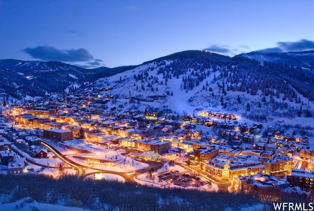 1460 Snowberry Unit 25, Park City, UT 84098