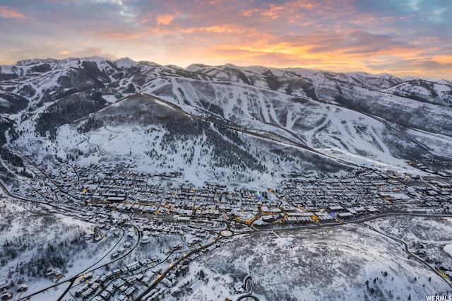 1460 Snowberry Unit 25, Park City, UT 84098
