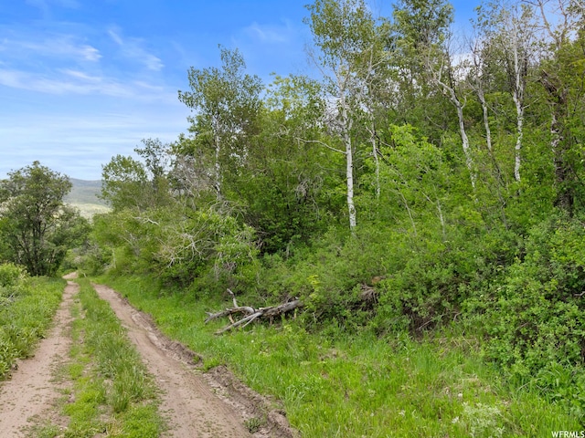 4891 S Woodland Way, Kamas, UT 84036