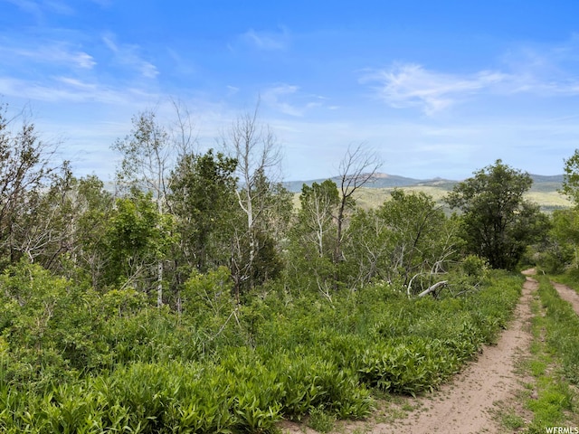 4891 S Woodland Way, Kamas, UT 84036