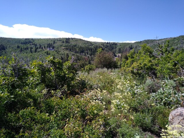 4891 S Woodland Way, Kamas, UT 84036
