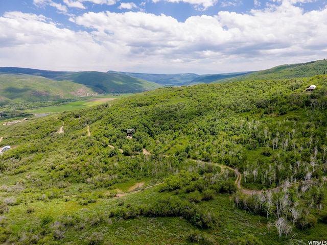 4891 S Woodland Way, Kamas, UT 84036