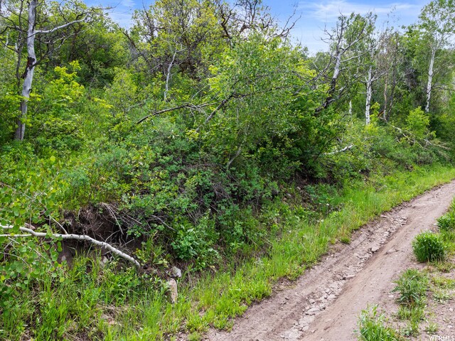 4891 S Woodland Way, Kamas, UT 84036