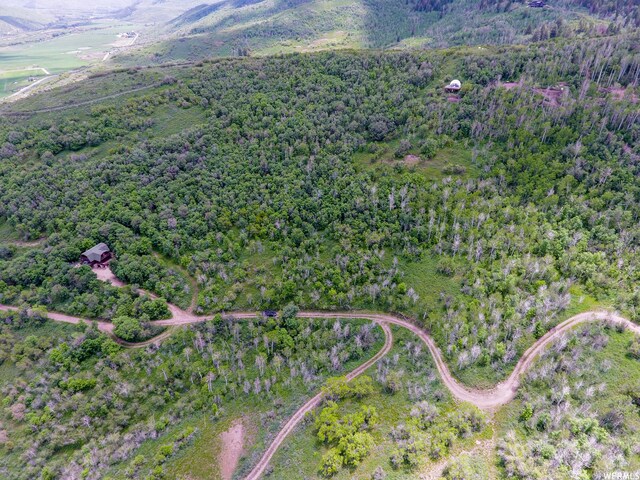 4891 S Woodland Way, Kamas, UT 84036