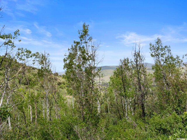 4912 S Rhoades Dr, Kamas, UT 84036