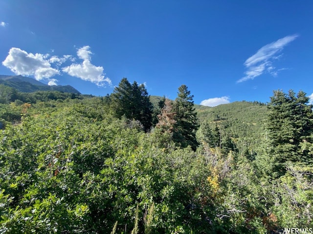 111 Upper Whittemore Dr Unit 111, Springville, UT 84663