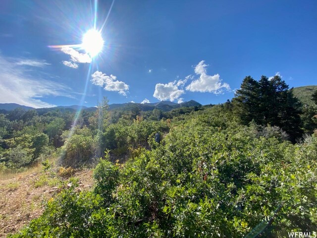 111 Upper Whittemore Dr Unit 111, Springville, UT 84663
