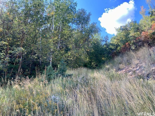 111 Upper Whittemore Dr Unit 111, Springville, UT 84663