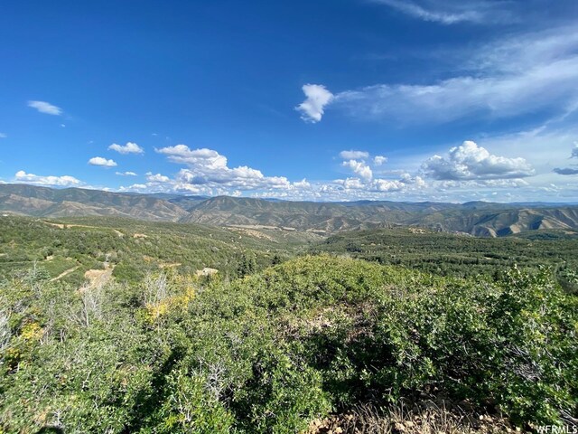 111 Upper Whittemore Dr Unit 111, Springville, UT 84663