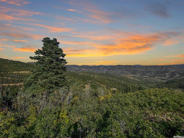 111 Upper Whittemore Dr Unit 111, Springville, UT 84663