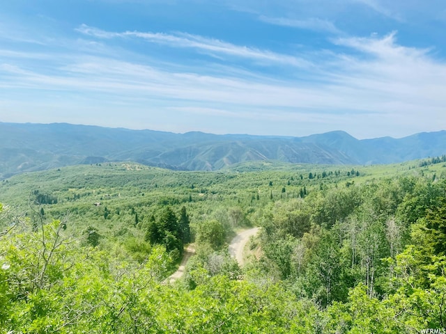 111 Upper Whittemore Dr Unit 111, Springville, UT 84663