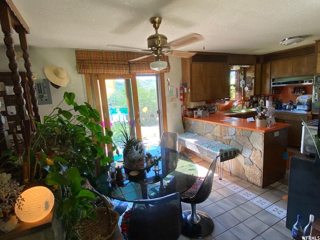 2406 Smokey Canyon Rd, Auburn, WY 83111 - tiled dining room featuring ceiling fan and a textured ceiling