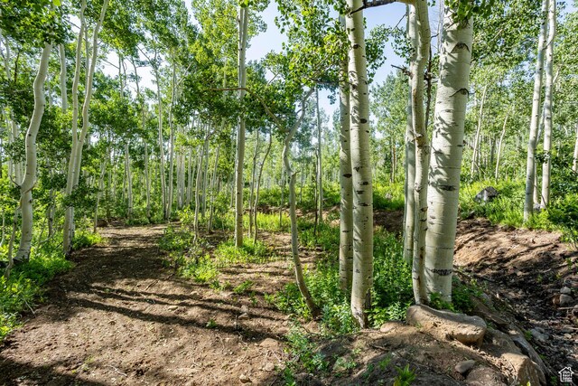5156 N Pebble Dr, Midway, UT 84049