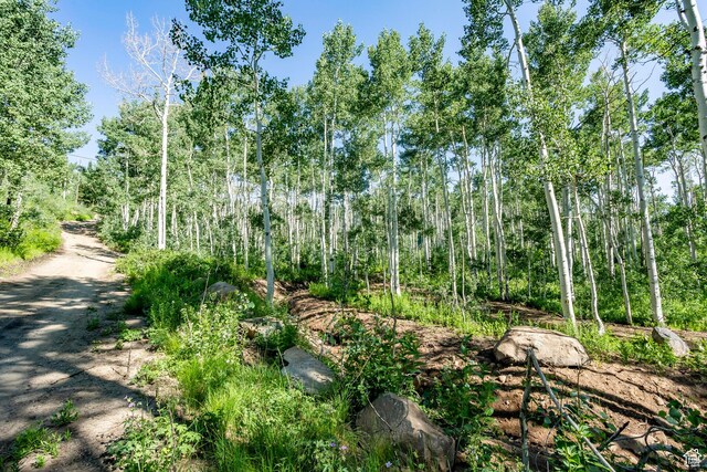 5156 N Pebble Dr, Midway, UT 84049