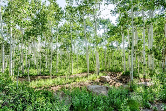 5156 N Pebble Dr, Midway, UT 84049