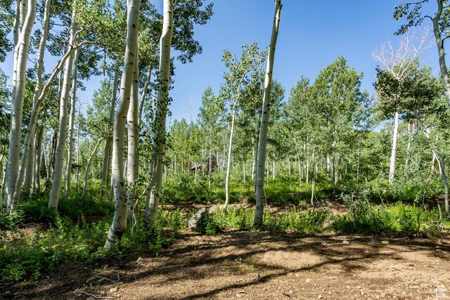 5156 N Pebble Dr, Midway, UT 84049