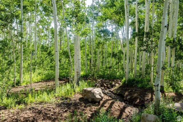 5156 N Pebble Dr, Midway, UT 84049
