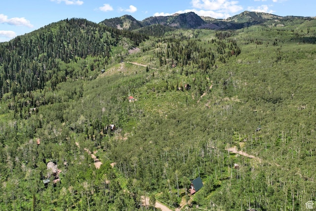 5156 N Pebble Dr, Midway, UT 84049