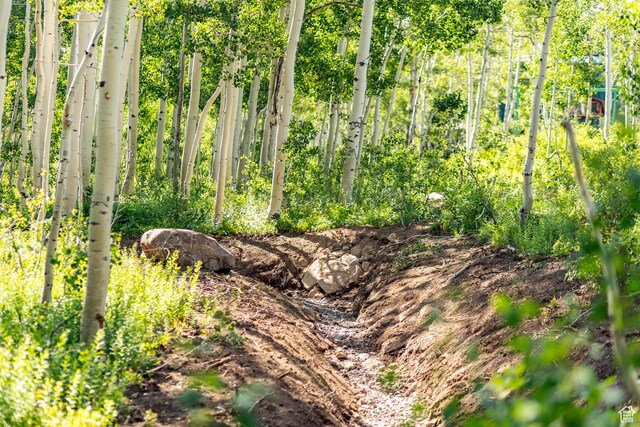 5156 N Pebble Dr, Midway, UT 84049