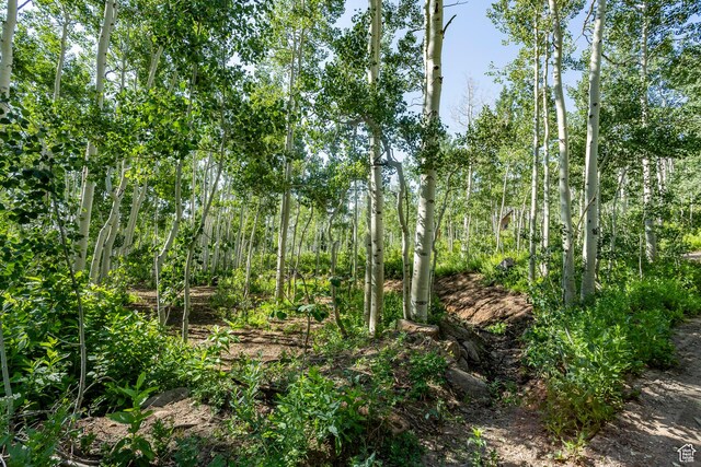 5156 N Pebble Dr, Midway, UT 84049