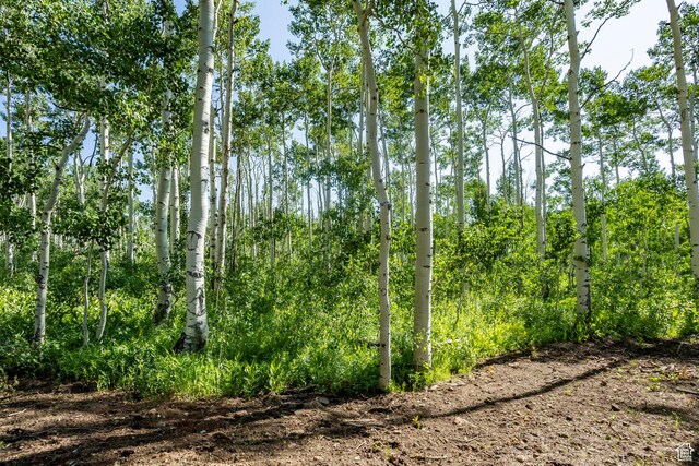 5156 N Pebble Dr, Midway, UT 84049