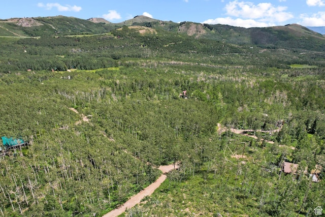5156 N Pebble Dr, Midway, UT 84049