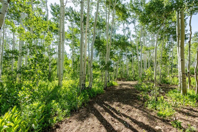 5156 N Pebble Dr, Midway, UT 84049