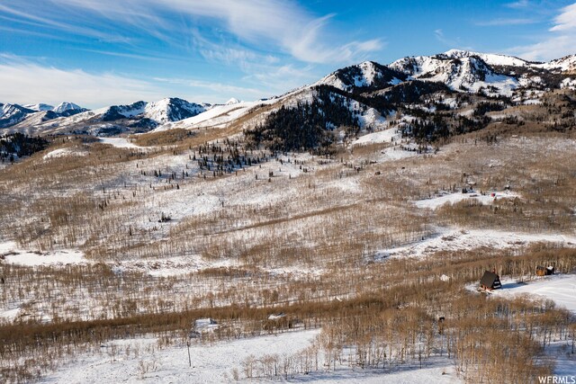 5256 N Grandview Rd Unit 31, Midway, UT 84049 - photo 9