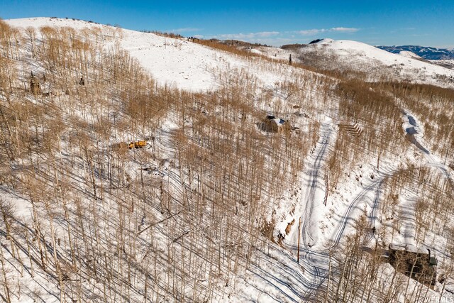 5256 N Grandview Rd Unit 31, Midway, UT 84049 - photo 27