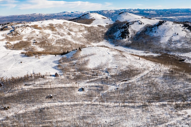 5256 N Grandview Rd Unit 31, Midway, UT 84049 - photo 16