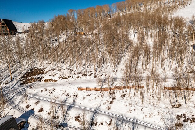 5256 N Grandview Rd Unit 31, Midway, UT 84049 - photo 22
