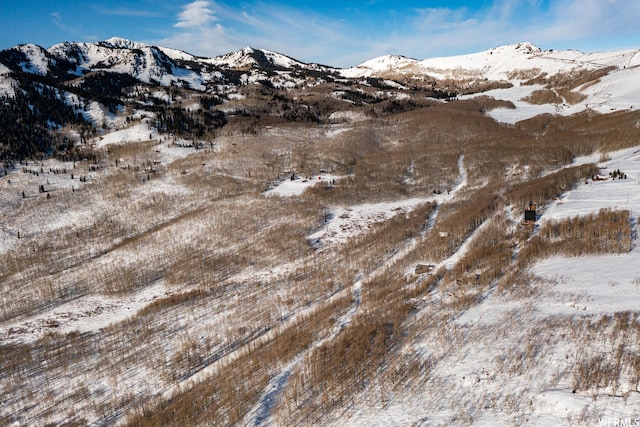 5256 N Grandview Rd Unit 31, Midway, UT 84049 - photo 8