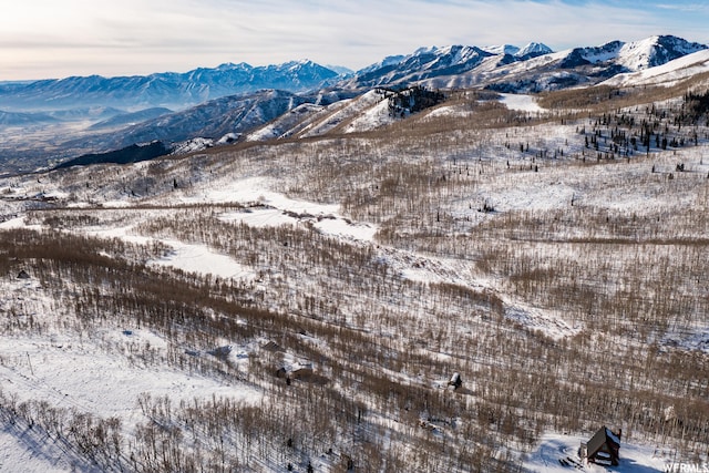 5256 N Grandview Rd Unit 31, Midway, UT 84049 - photo 10