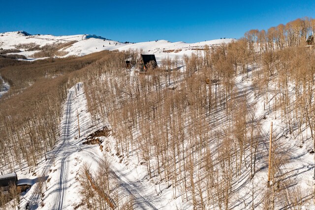 5256 N Grandview Rd Unit 31, Midway, UT 84049 - photo 24