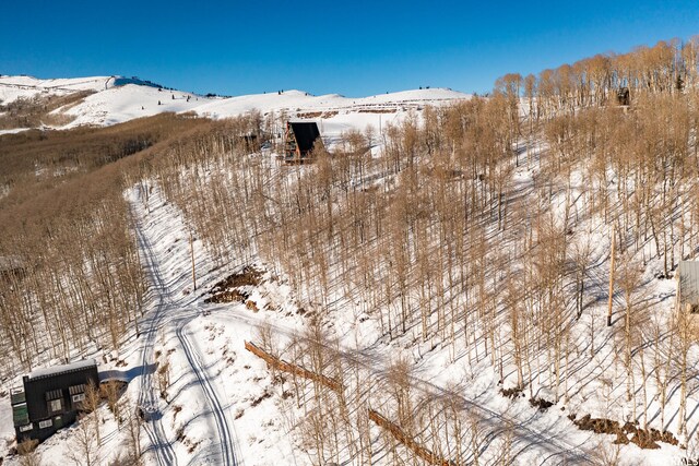 5256 N Grandview Rd Unit 31, Midway, UT 84049 - photo 25