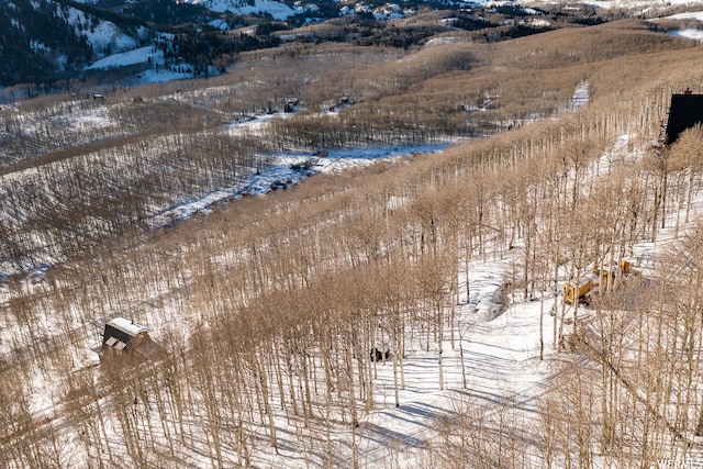 5256 N Grandview Rd Unit 31, Midway, UT 84049 - photo 23