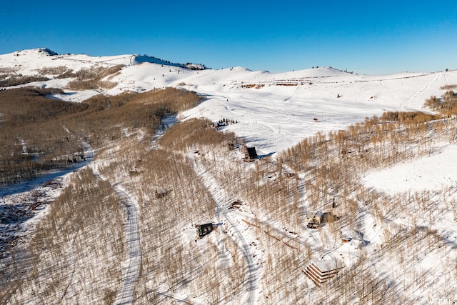 5256 N Grandview Rd Unit 31, Midway, UT 84049 - photo 28
