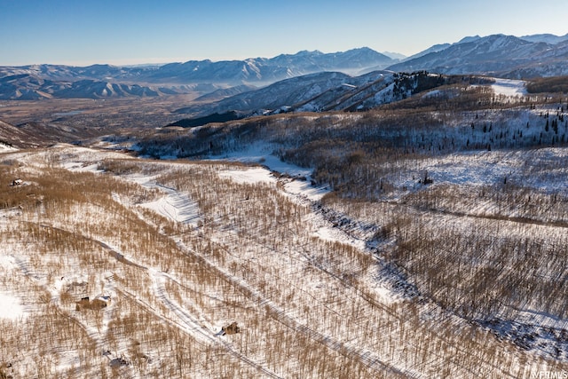 5256 N Grandview Rd Unit 31, Midway, UT 84049 - photo 33