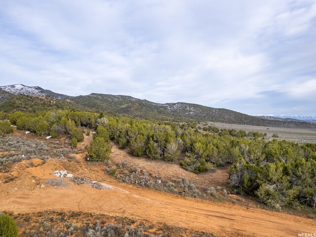 5100 Cougar Run Unit 48, Birdseye, UT 84629