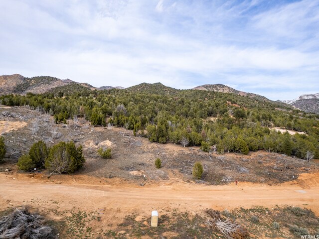 5100 Cougar Run Unit 48, Birdseye, UT 84629