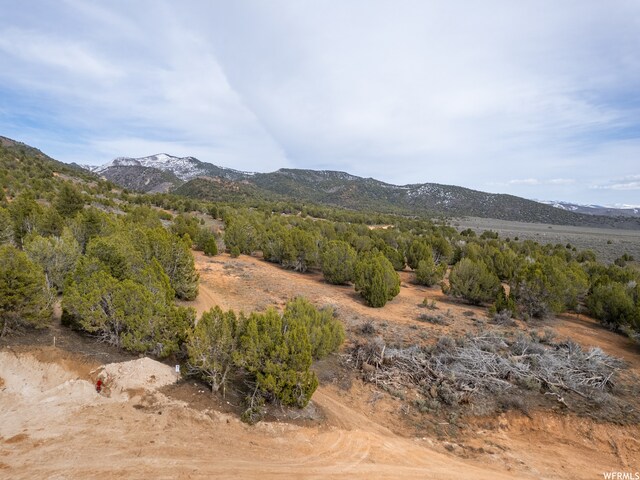 5100 Cougar Run Unit 48, Birdseye, UT 84629