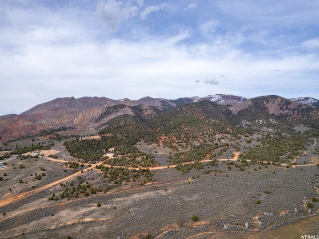 5100 Cougar Run Unit 48, Birdseye, UT 84629