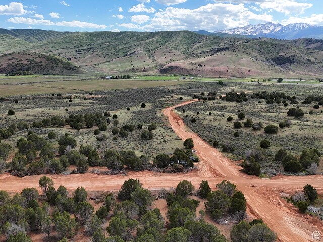 5100 Cougar Run Unit 48, Birdseye, UT 84629