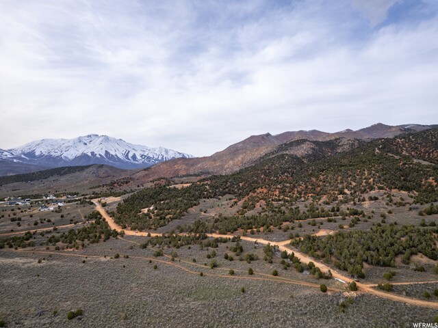 5100 Cougar Run Unit 48, Birdseye, UT 84629
