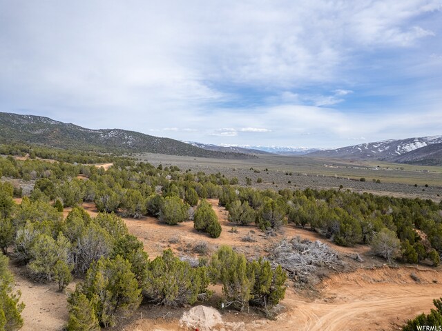 5100 Cougar Run Unit 48, Birdseye, UT 84629
