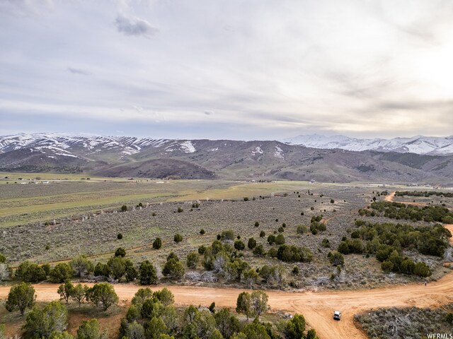 5100 Cougar Run Unit 48, Birdseye, UT 84629