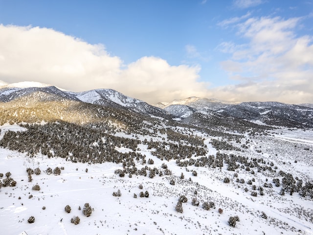 4100 Cougar Run, Birdseye, UT 84629