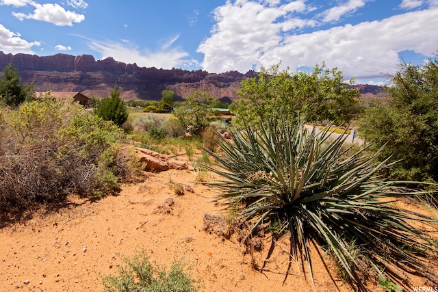 4265 E Lipizzan Jump Unit 18, Moab, UT 84532
