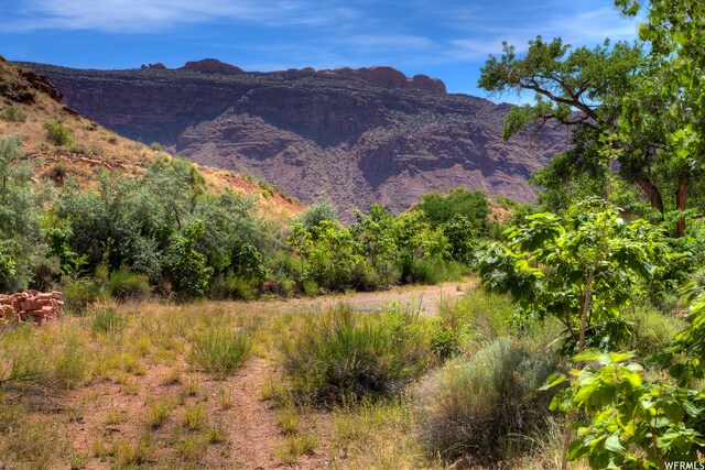 1435 Powerhouse Ln, Moab, UT 84532 - photo 11