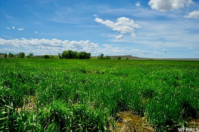 475 County Rd 324, Sinclair, WY 82334